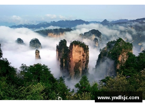 张家界培养的体育明星全景探索与成就回顾