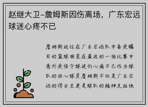 赵继大卫-詹姆斯因伤离场，广东宏远球迷心疼不已